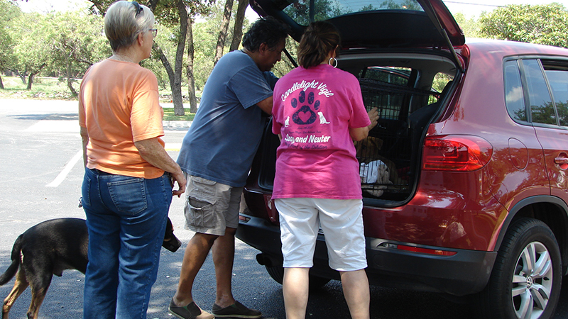 An ’09 Hurricane Harvey Pet Rescue Story