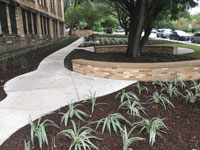 Cambridge Elementary landscaping