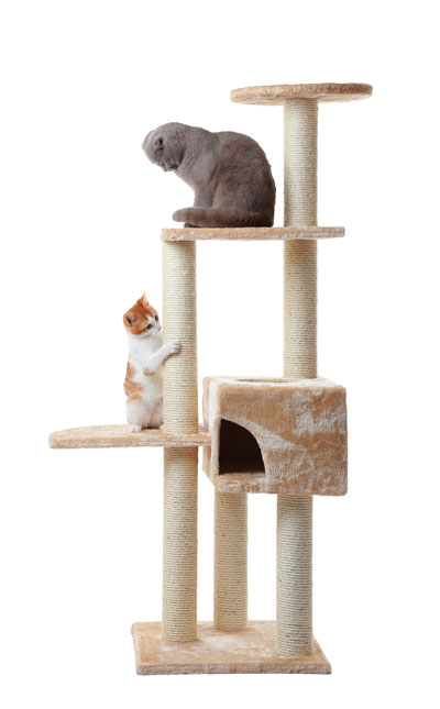 CatTower