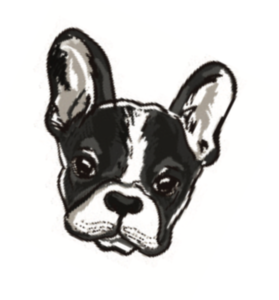 illustration of a dog face
