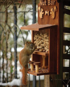 squirrelfeeder