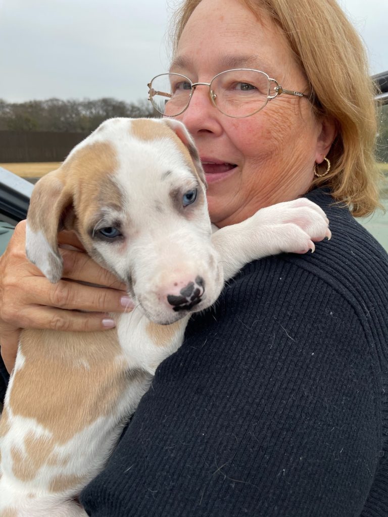 Smiling woman holding blue eyed puppy