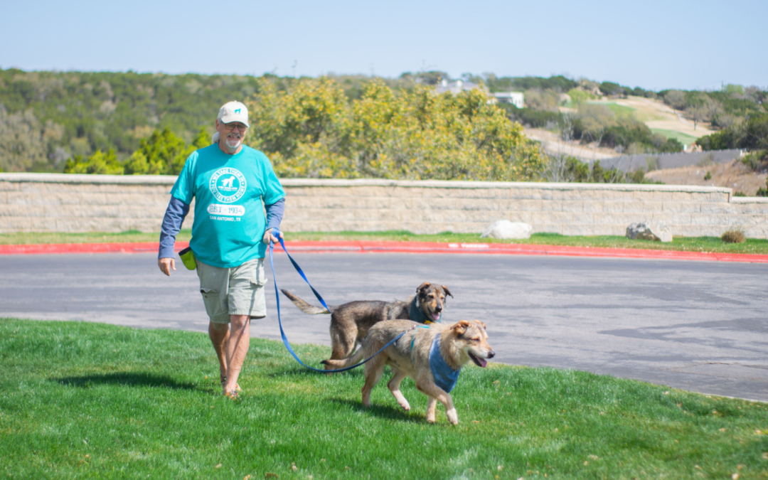 The Animal Defense League of Texas