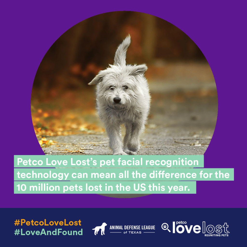 Petco Love Lost and ADL