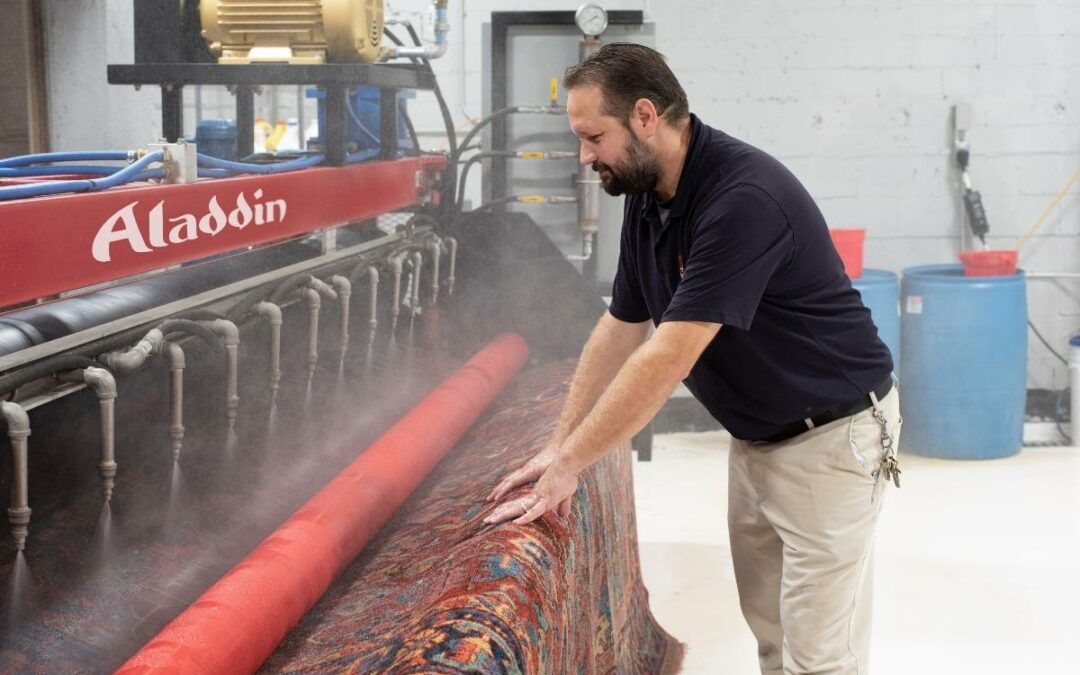 How Often Should You Have Your Carpets Cleaned?