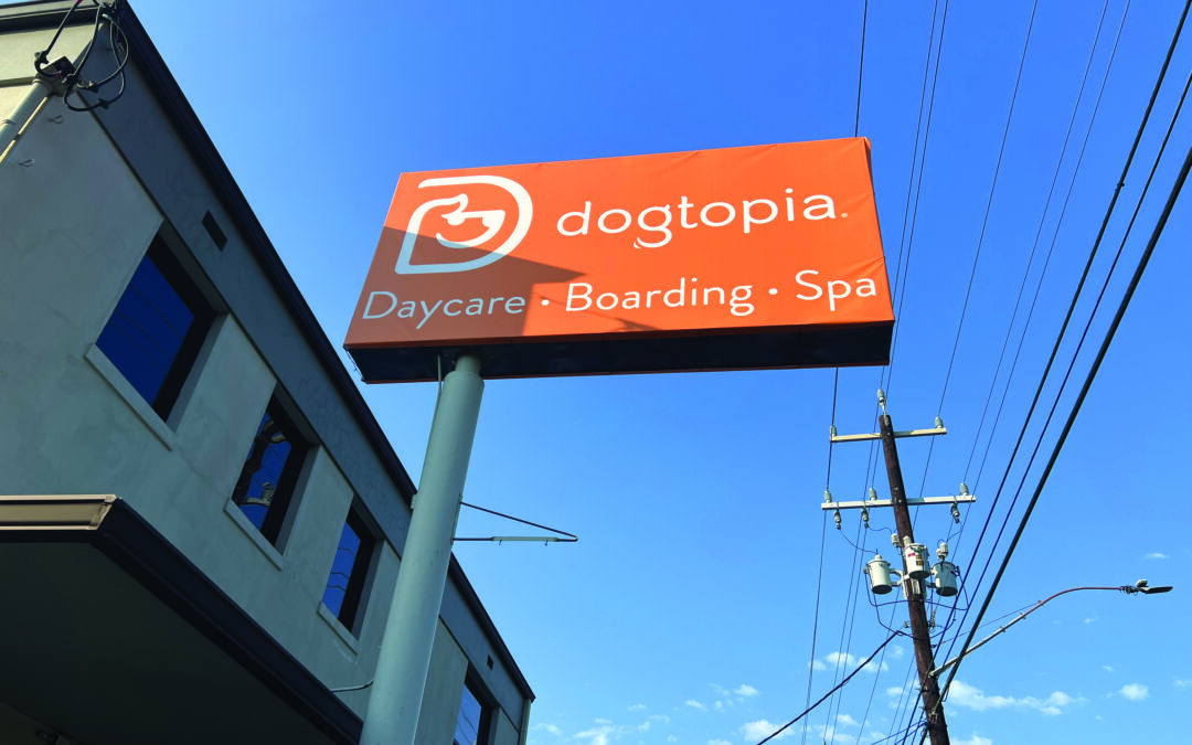 Dogtopia Comes to Broadway