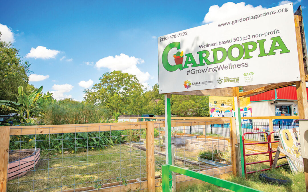 Growing Together with Gardopia Gardens