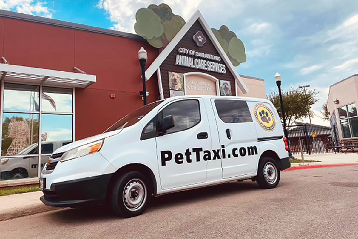 Pet Taxi web