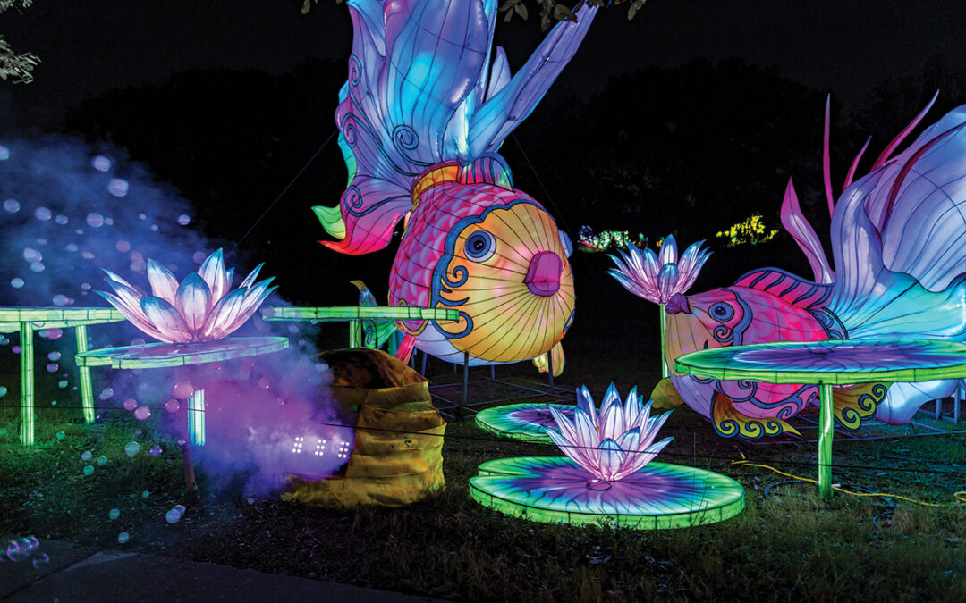 Botanical Garden To Light Up The Sky