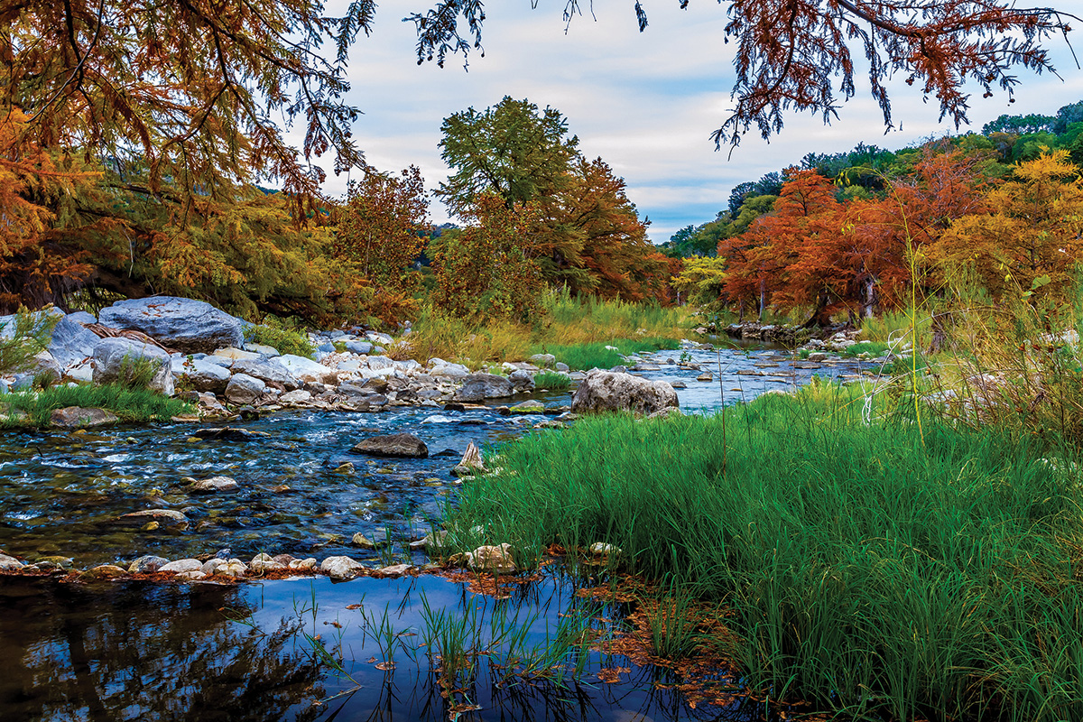 Stunning Fall Colors of Texas Cypress Trees Surrounding a Crysta