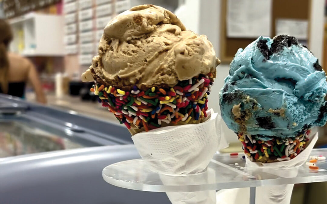 Bee Nice Ice Cream Expands