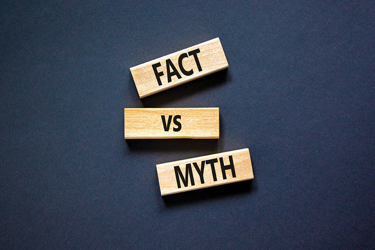 fact vs myth image web