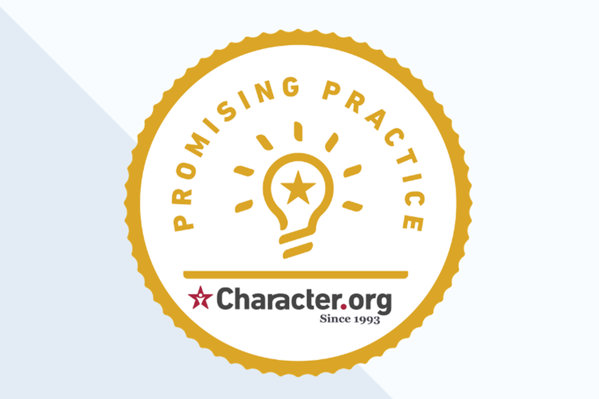 Promising Practices